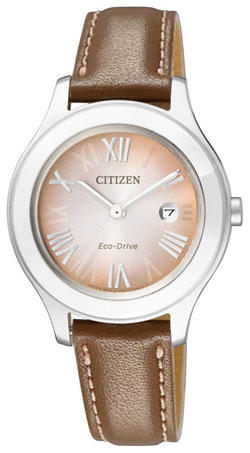 Женские наручные часы Citizen FE1040-48W