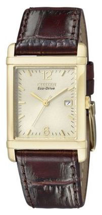 Мужские наручные часы Citizen BW0202-03P