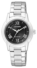 Женские наручные часы Citizen FE2010-51E