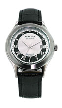 Мужские наручные часы HAAS & Cie ALH 384 ZSA