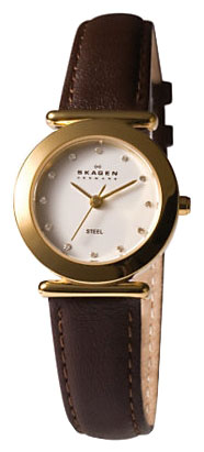 Женские наручные часы Skagen 107SGLD