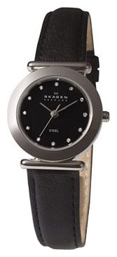 Женские наручные часы Skagen 107SSLB