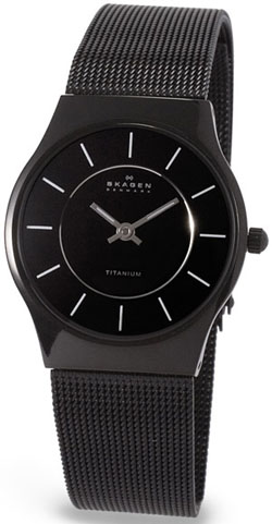 Женские наручные часы Skagen 233STMB