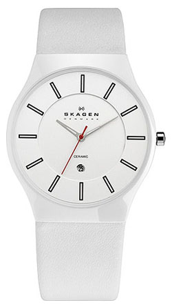 Мужские наручные часы Skagen 233XLCLW