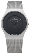 Мужские наручные часы Skagen 233XLSBPL