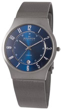 Мужские наручные часы Skagen 233XLTTN