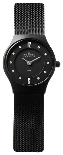 Женские наручные часы Skagen 233XSBSB