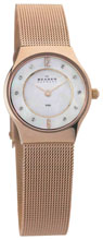 Женские наручные часы Skagen 233XSRR