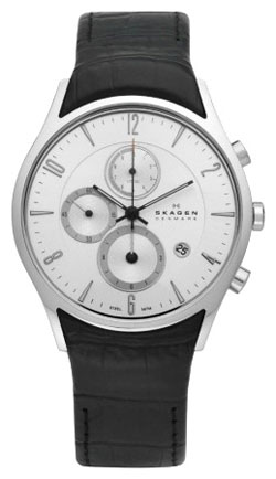 Мужские наручные часы Skagen 329XLSLC