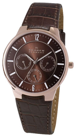 Мужские наручные часы Skagen 331XLRLD