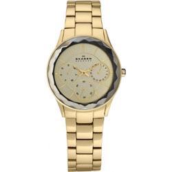 Женские наручные часы Skagen 344LGXG