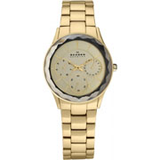 Женские наручные часы Skagen 344LGXG