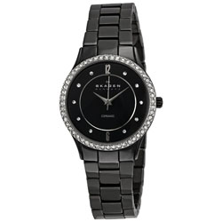 Женские наручные часы Skagen 347SBXBC