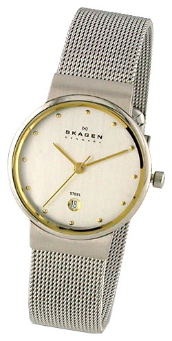 Женские наручные часы Skagen 355SGSC