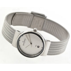 Женские наручные часы Skagen 355SSS1