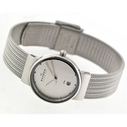 Женские наручные часы Skagen 355SSS1