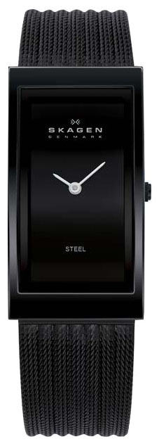 Женские наручные часы Skagen 359UBB