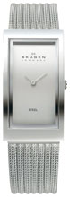 Женские наручные часы Skagen 359USSS