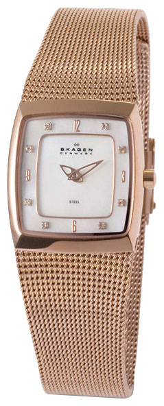 Женские наручные часы Skagen 380XSRR1