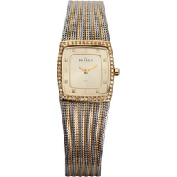 Женские наручные часы Skagen 384XSGSG