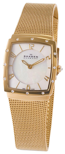 Женские наручные часы Skagen 396XSGG