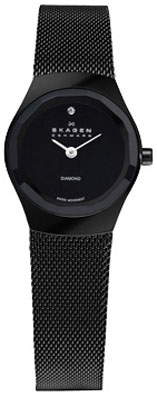 Женские наручные часы Skagen 432SBSB
