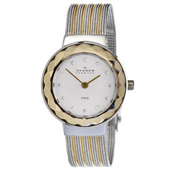 Женские наручные часы Skagen 456SGS1