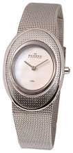Женские наручные часы Skagen 548SSSD