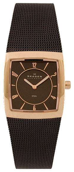 Женские наручные часы Skagen 563XSRM