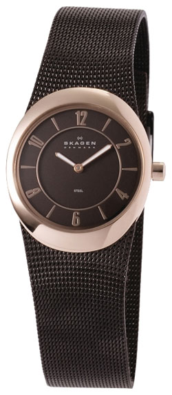 Женские наручные часы Skagen 564XSRM