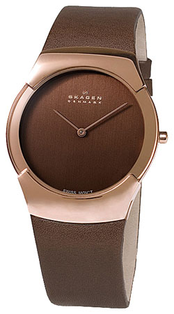 Мужские наручные часы Skagen 582XLRLM