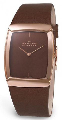 Мужские наручные часы Skagen 584LRLM