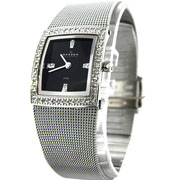 Женские наручные часы Skagen 608SSSB