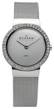 Женские наручные часы Skagen 644SSS
