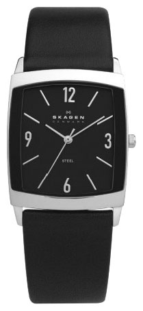 Мужские наручные часы Skagen 691LSLB