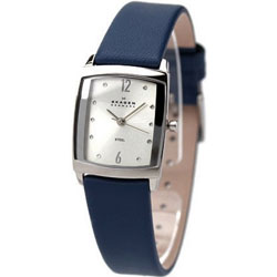 Женские наручные часы Skagen 691SSLN