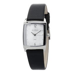 Женские наручные часы Skagen 691SSLS