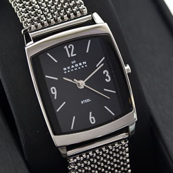 Женские наручные часы Skagen 691SSSB1