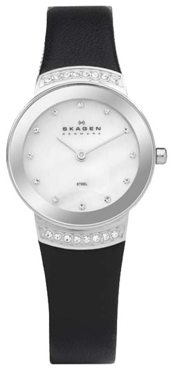 Женские наручные часы Skagen 812SSLB1