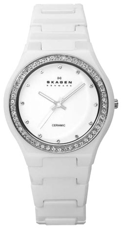 Женские наручные часы Skagen 813LXWC