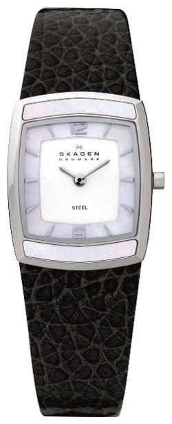 Женские наручные часы Skagen 855SSLB