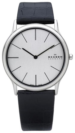Мужские наручные часы Skagen 858XLSLC