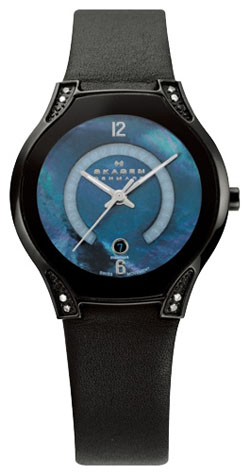 Женские наручные часы Skagen 886SBLB
