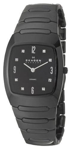 Женские наручные часы Skagen 914SBXC