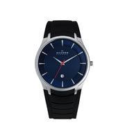 Мужские наручные часы Skagen 955XLSRN