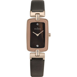 Женские наручные часы Skagen H01SRLD